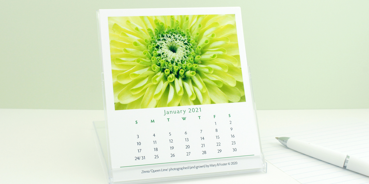 Looking forward to selling my flower photography <a href="/RedWingArts/">Red Wing Arts Assoc.</a> hybrid art fair, in-person and online October 10 &amp; 11, 2020. redwingartsfallfestival.org