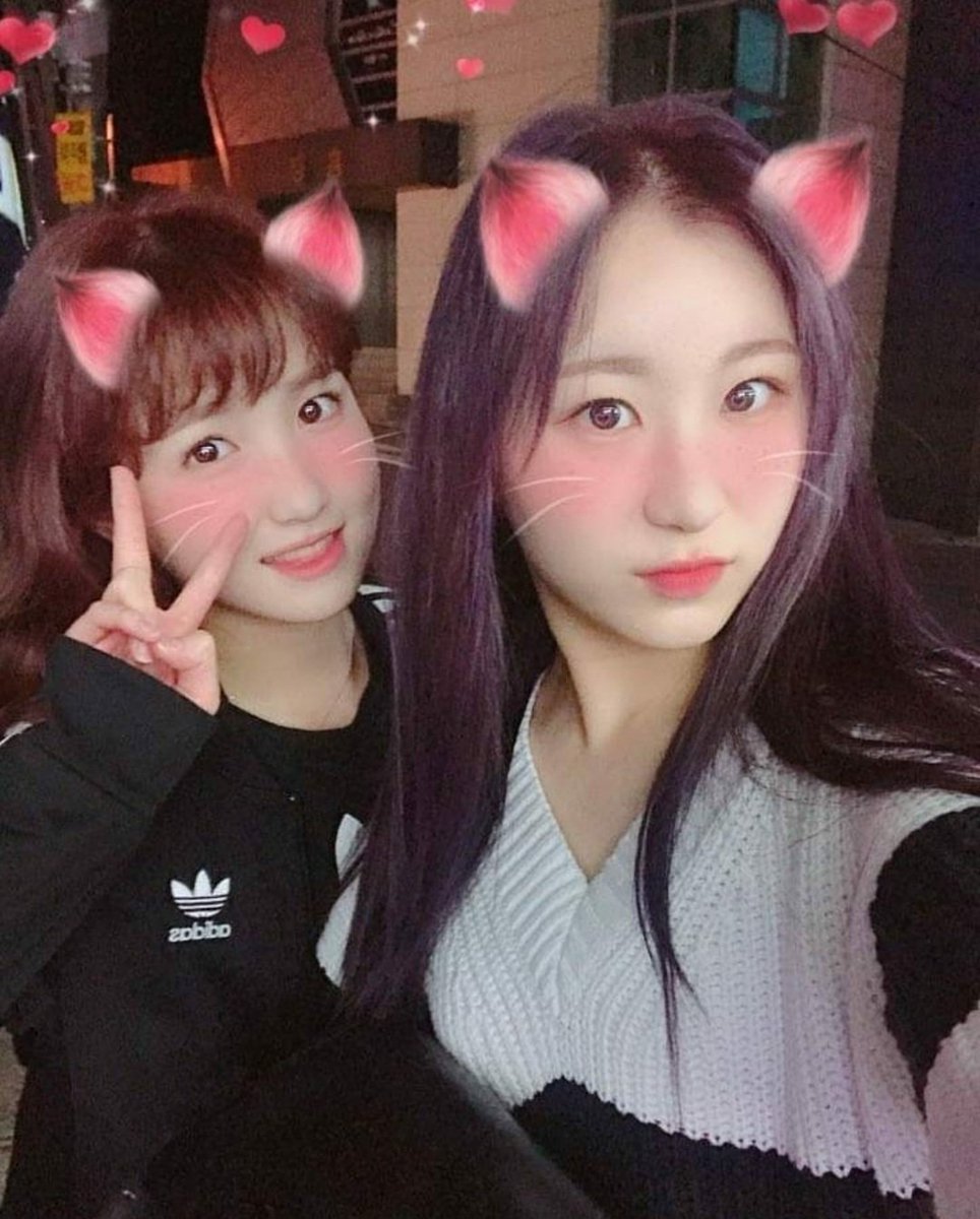 n년전 오늘의 히토미 tweet media