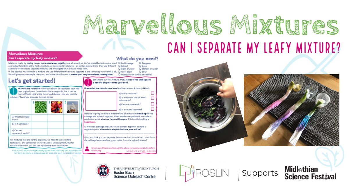 EBSOClab's tweet image. 📯**BRAND NEW**  #ScienceAtHome investigation to explore separating mixtures with our @roslininstitute scientist Judit: 
 🔗Follow the link edin.ac/2XgQ3BN
📖 Download the workbook
👀 Follow the instructions
🌈 Have fun &amp;amp; share your investigations with us! #MSFschools2020