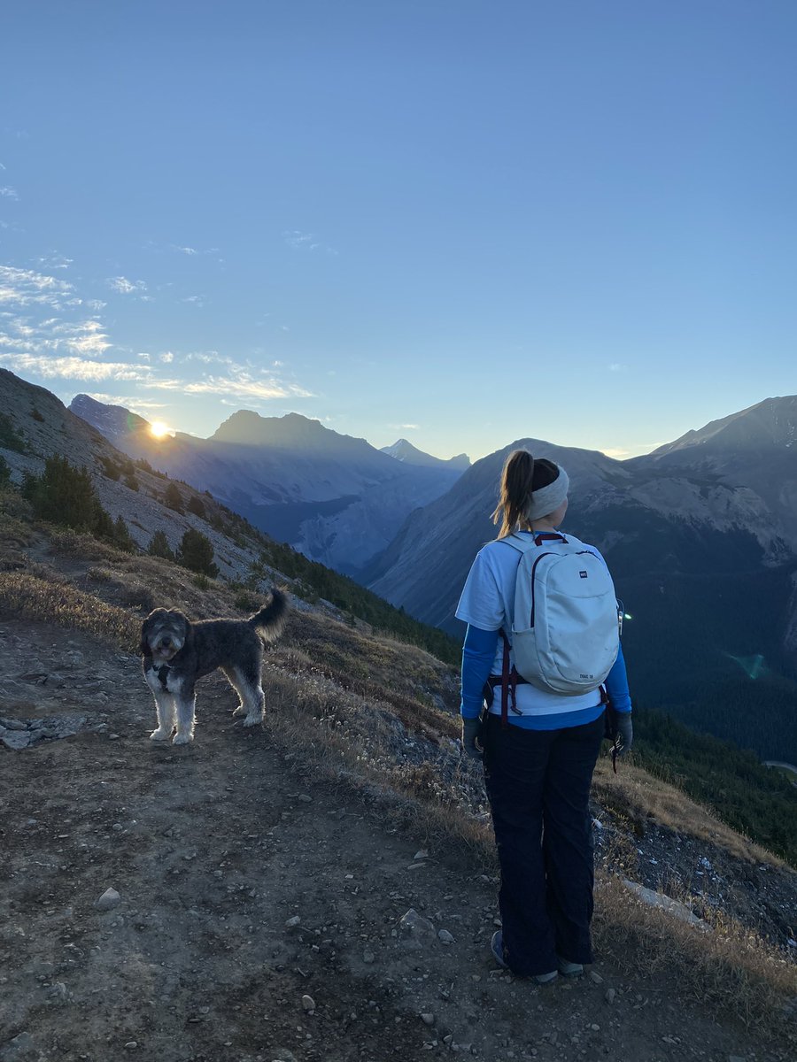 MarkDemkiw's tweet photo. #myjasper wasn’t so bad this weekend. #ParkerRidge #WilcoxPass https://t.co/NqysxlSusK