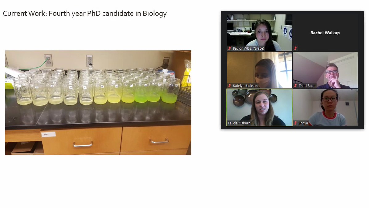 Thanks to everyone who attended our first WISE seminar last Tuesday, especially our speaker Felicia Osburn! Even though we've had to change the way we present research this year, we had record attendance last week. Keep your eyes peeled for info on our next seminar this month!