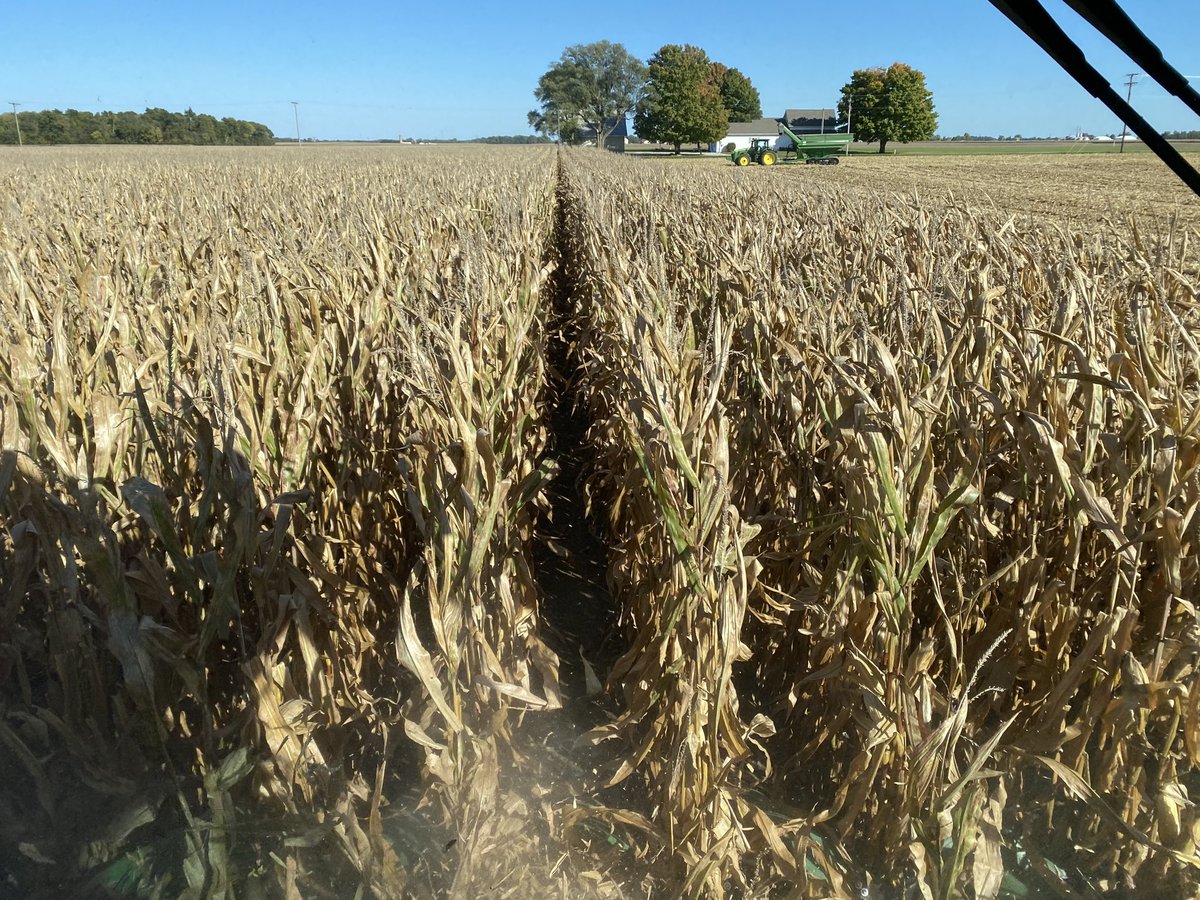 thebett1's tweet image. Let the fun begin #corn20