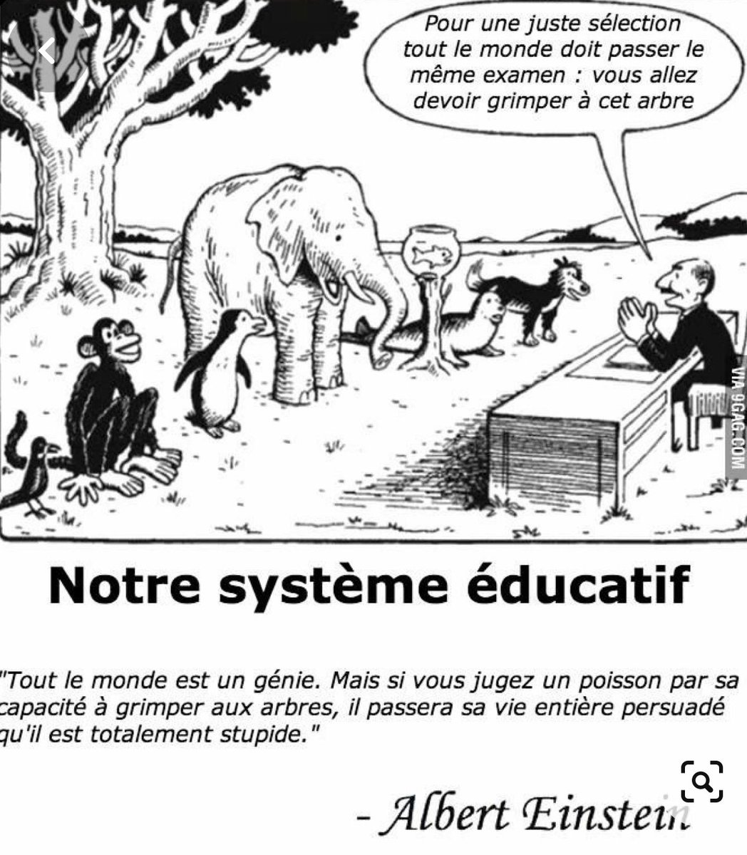 Awa DIA ROGER (@awadiaroger) on Twitter photo 