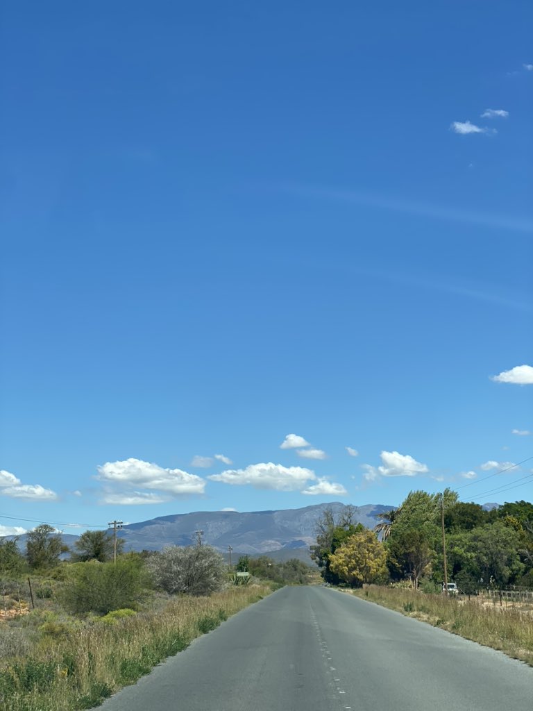 Today, on the way into McGregor Village... the apple orchards in full bloom &amp; the daisies still vibrant as the end of the spring flower season starts to taper off...  #ShareSouthAfrica #meetsouthafrica #iamtourism #lekkerlangeberg <a href="/RobertsonWineV/">RobertsonWineValley</a> <a href="/LangebergValley/">Langeberg Valley</a>