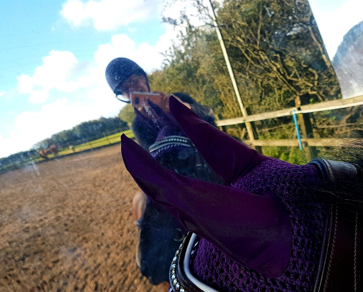 worm_egg's tweet image. Egg worm count lancashire #anthelmintic #equestrians #horses #science #equinescience #helminths #nematodes #stables #smallholder #pontalk #horselovers