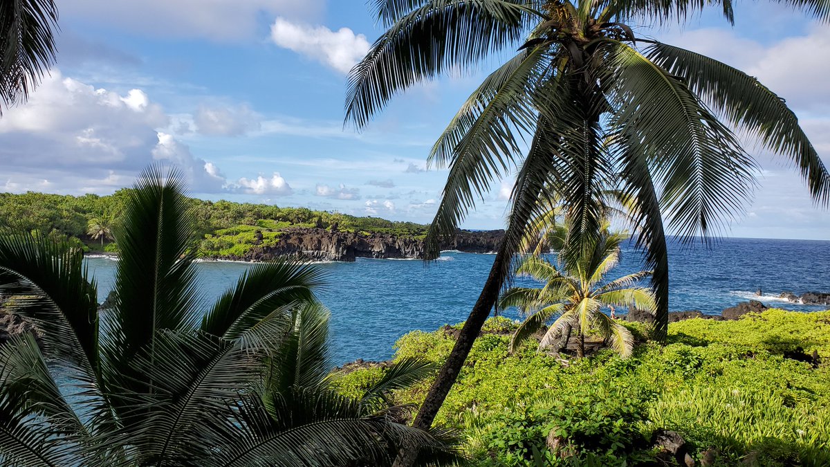 mauidi's tweet photo. .#Hana coast Beach parks. #hamoa #wainapanapa #koki https://t.co/pZuUXRbJNL