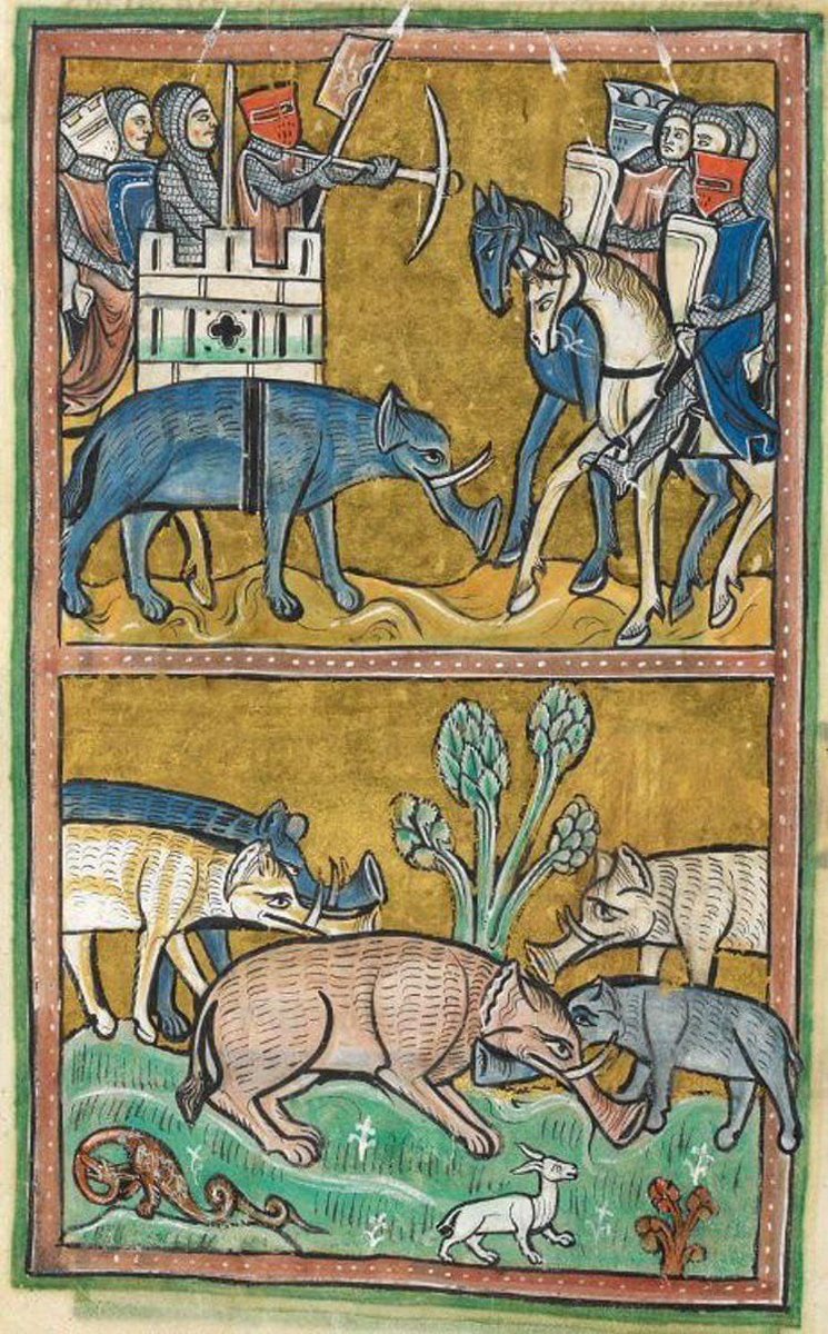 Elephants, Unknown Artist, Late 13th Century