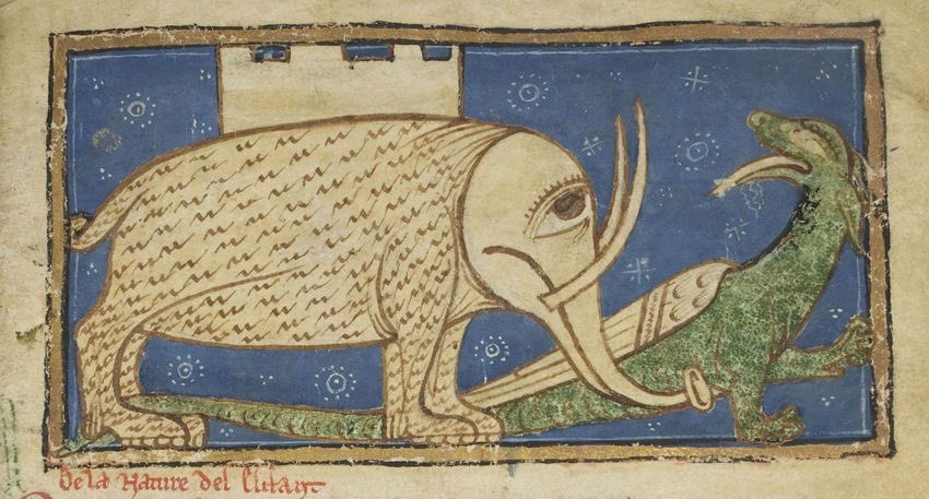 This earless elephant with a castle on its back.By Guillaume le Clerc from the Bestiary of William the Clerk