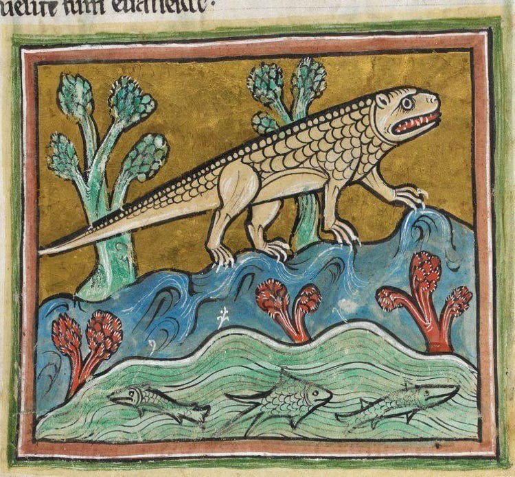 Crocodile, Unknown Artist, Late 13th Century