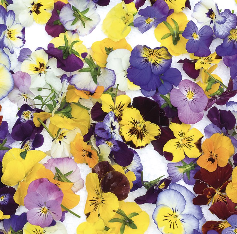 Seasonal Fresh Fruit and Vegetables available at Classic Fine Foods #classicharvestuk #seasonal #fruit #vegetablea