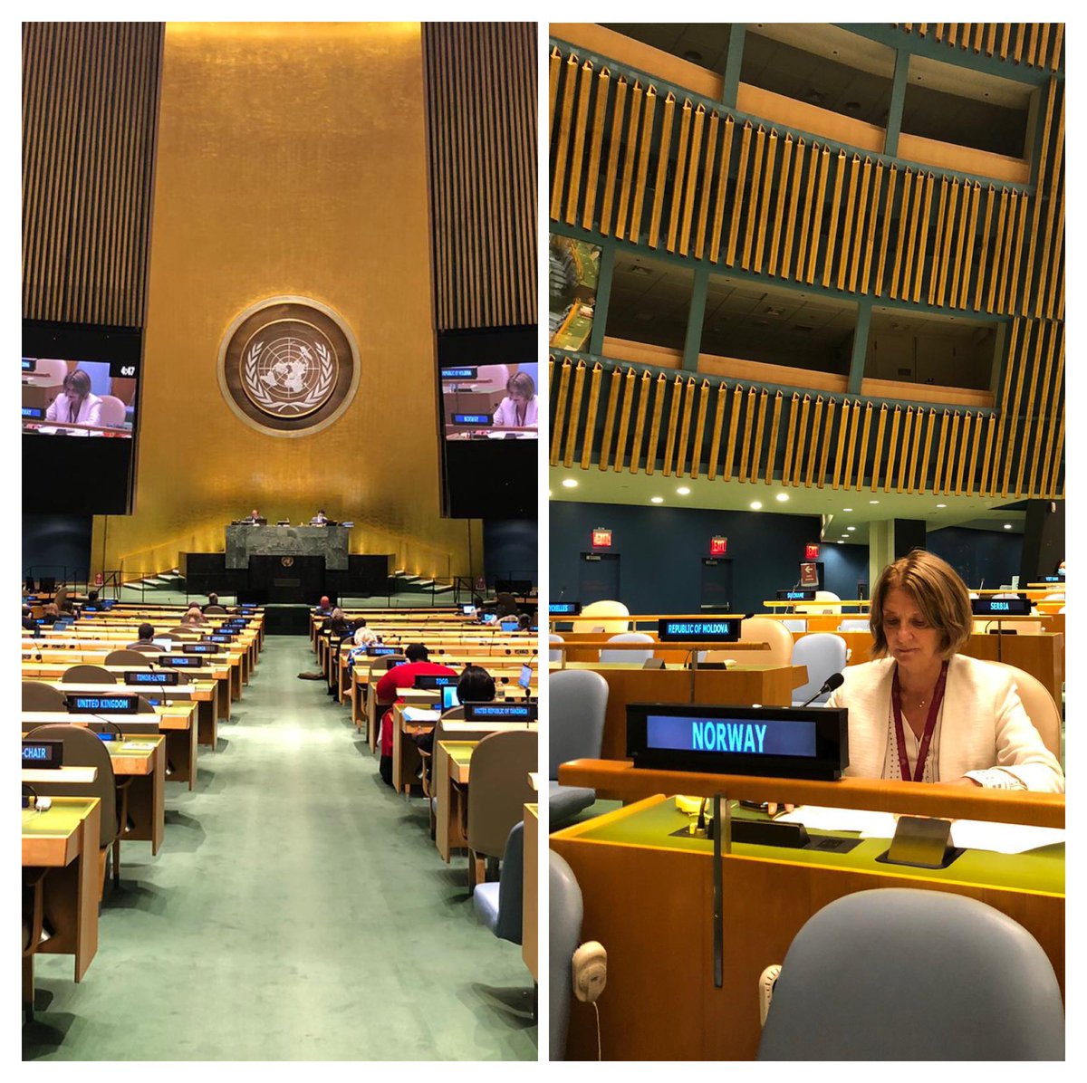 #Norway strongly believes that a global response based on:

📌#humanrights 
📌#genderequality
📌 #democracy 

is the most effective way to fight #Covid19 & to build a better future for all 🌏🌺
 
🇳🇴Statement at #UN #thirdcommittee #UNGA75 ➡️
norway.no/en/missions/UN…
