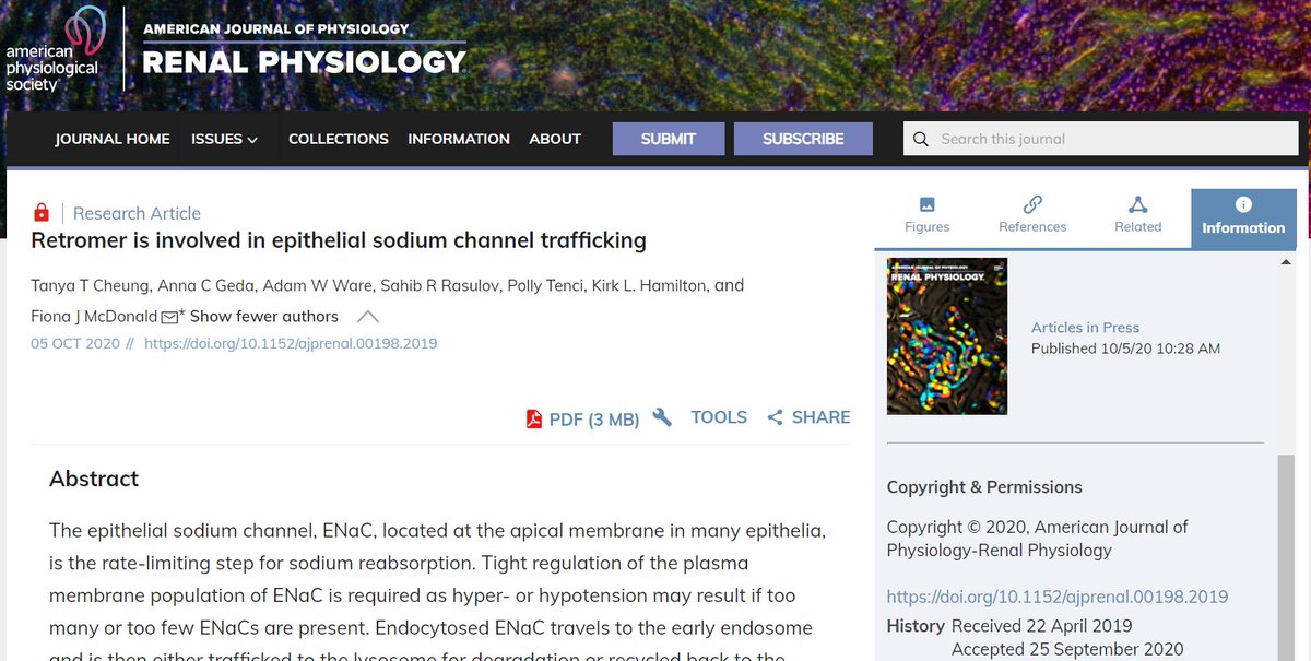 AJPRenal's tweet photo. #ArticlesInPress: "#Retromer is involved in epithelial sodium channel trafficking" By: Tanya T Cheung, et al.
https://t.co/2t6L215b4Y
#AJPRenal #COMMD #ENaC https://t.co/vvD2qQOR54