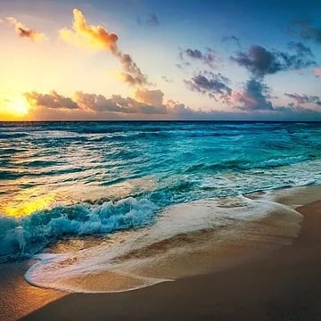 Meditation Mind Music tweet media