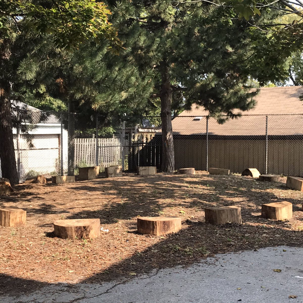 MsBergerTDSB's tweet photo. We created 12 natural outdoor learning classrooms at Essex Hawthorne Schools. Thankful for the space, contributions &amp; the sunshine.  #OPAL @LC4_Mike #TDSB @ChrisMoiseTO https://t.co/s4EN3ykFE4