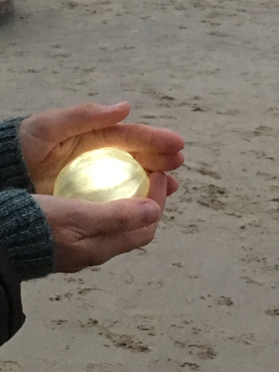 seagooseberries's tweet image. Great fun today filming with @BuckleUpFilms! Nearly got eaten by a dog but had a lucky escape, rescued by the lovely @kitkatbaker73