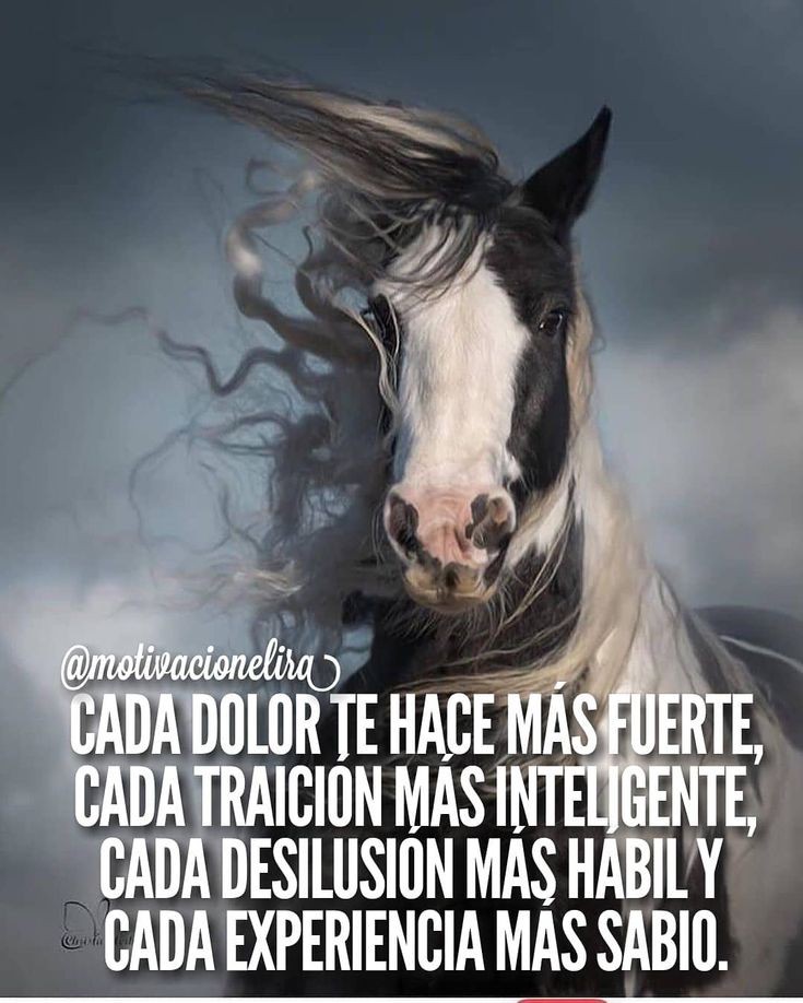 Tenemos que empezar a no quejarnos de los pruebas y aprender de las enseñanzas que nos dejan, como dicen, lo que no te mata, te hace más fuerte.
Bendiciones