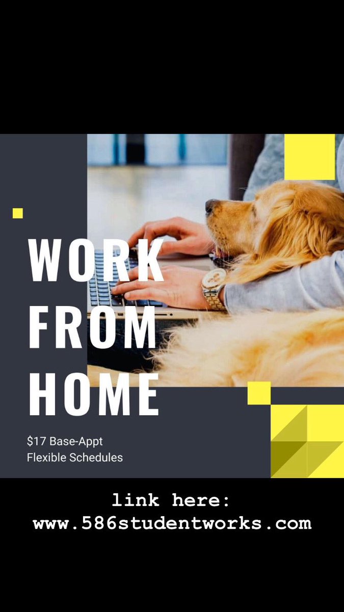 looking for work that is flexible around classes and other commitments?