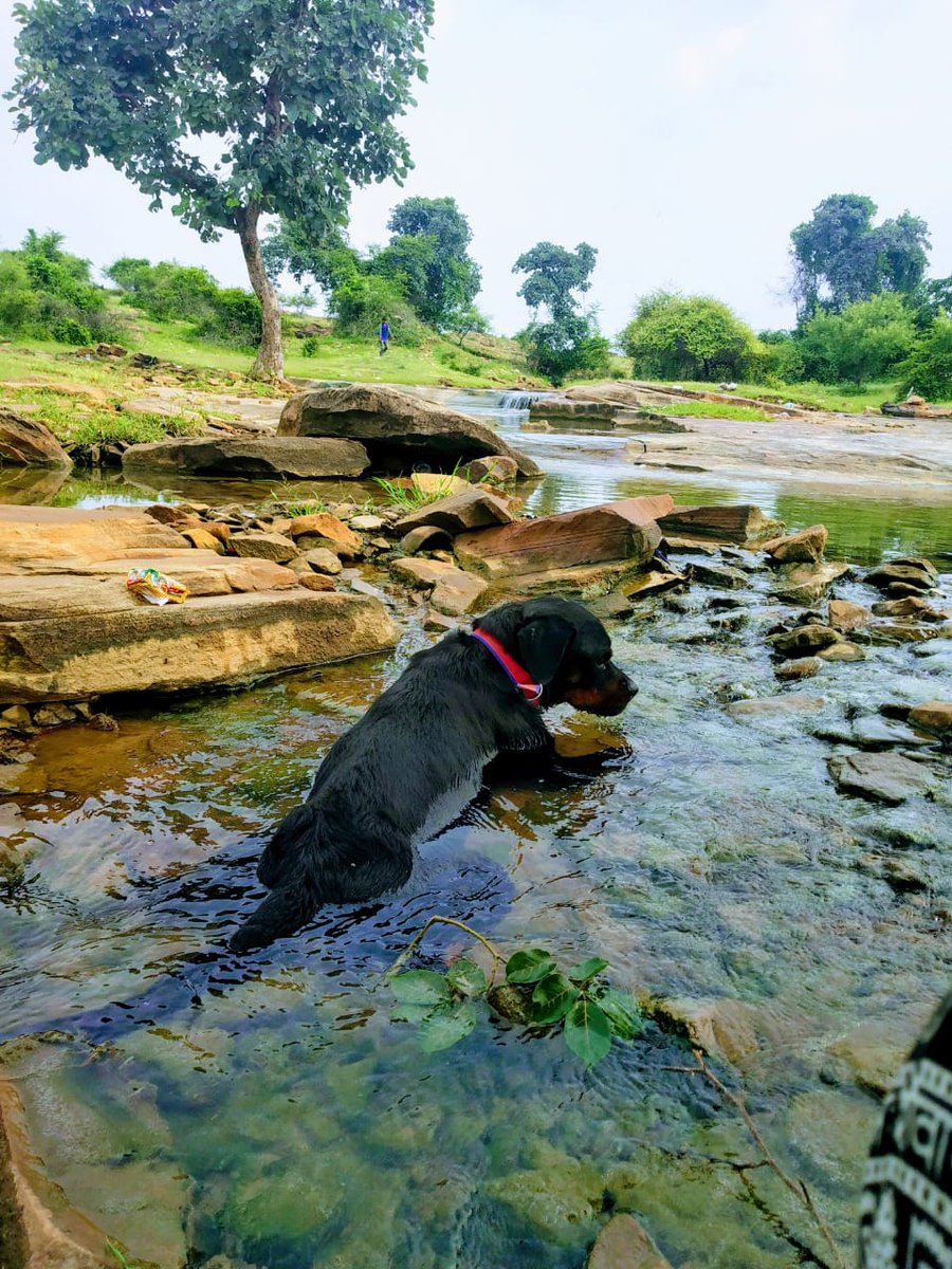 Humans_Of_UP's tweet photo. Back in 2015 when I came back from Bangalore, I had a blank thought of having my own cafe.I had a friend who has a pet house. He called me saying all of the puppies have been adopted, there is this one last rottweiler....
https://t.co/k7YoGJNSBR
https://t.co/Ilb7DCPP7F https://t.co/MS0rBLHRvL