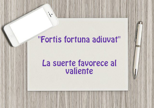 Psicomentis tweet media