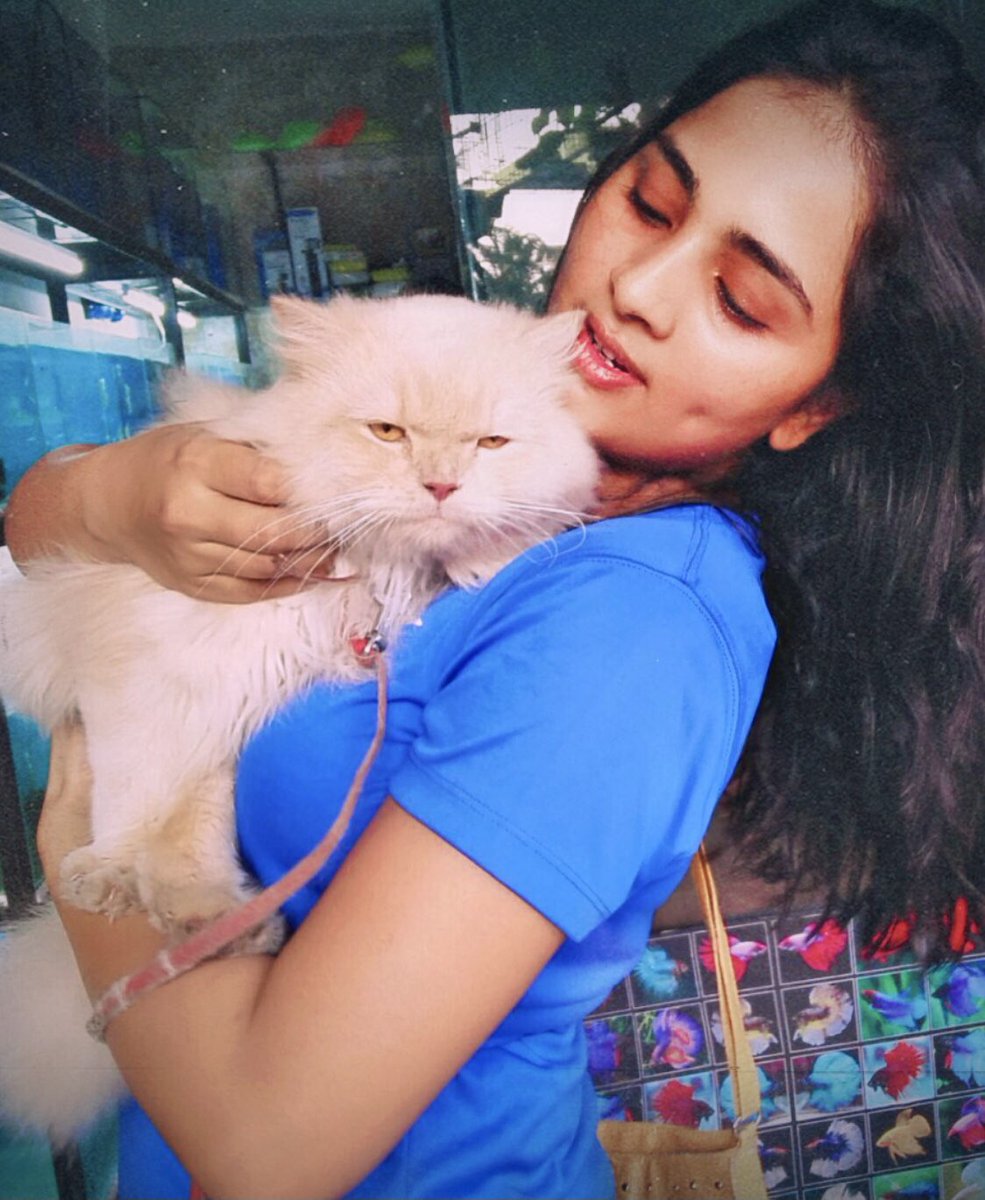 srushtiDange's tweet image. Unlove this, I dare you 🐈 🐱 ❤️