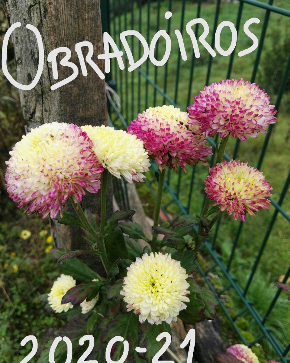 Non dubides en consultar horarios!