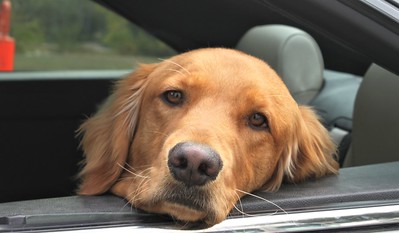 Mark Eby tweet media