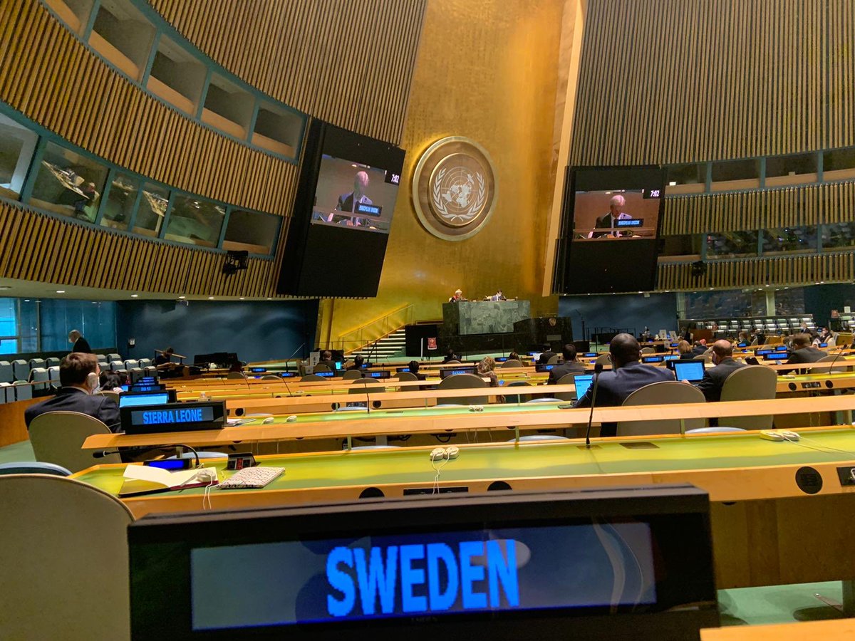 SwedenUN's tweet photo. The #ThirdCommitte of #UNGA75 is under way.
During the 2 months long negotiations, ๐ธ๐ช commits to #standup4humanrights across the ๐
๐บ Continue to follow live => https://t.co/JuclIWTf2F https://t.co/tZbMjhvFPp