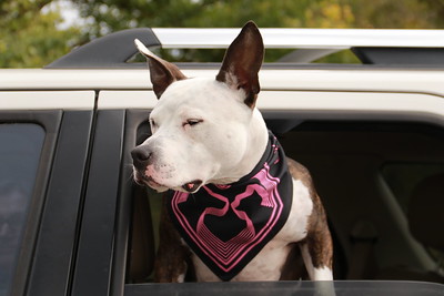 Mark Eby tweet media