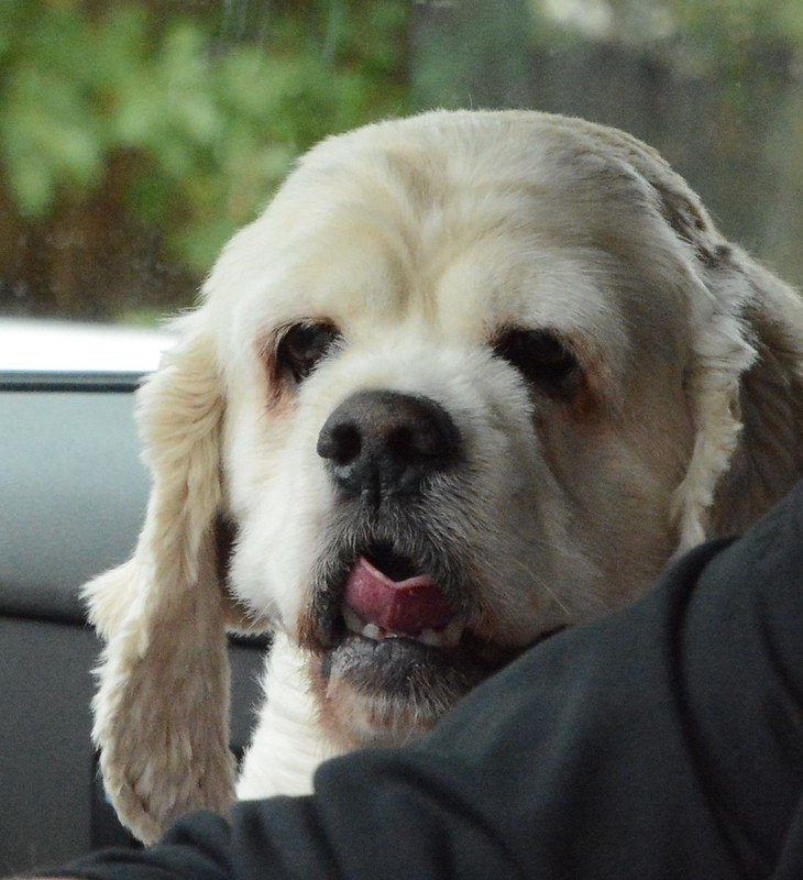 Mark Eby tweet media