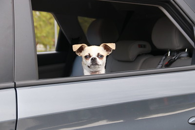 Mark Eby tweet media