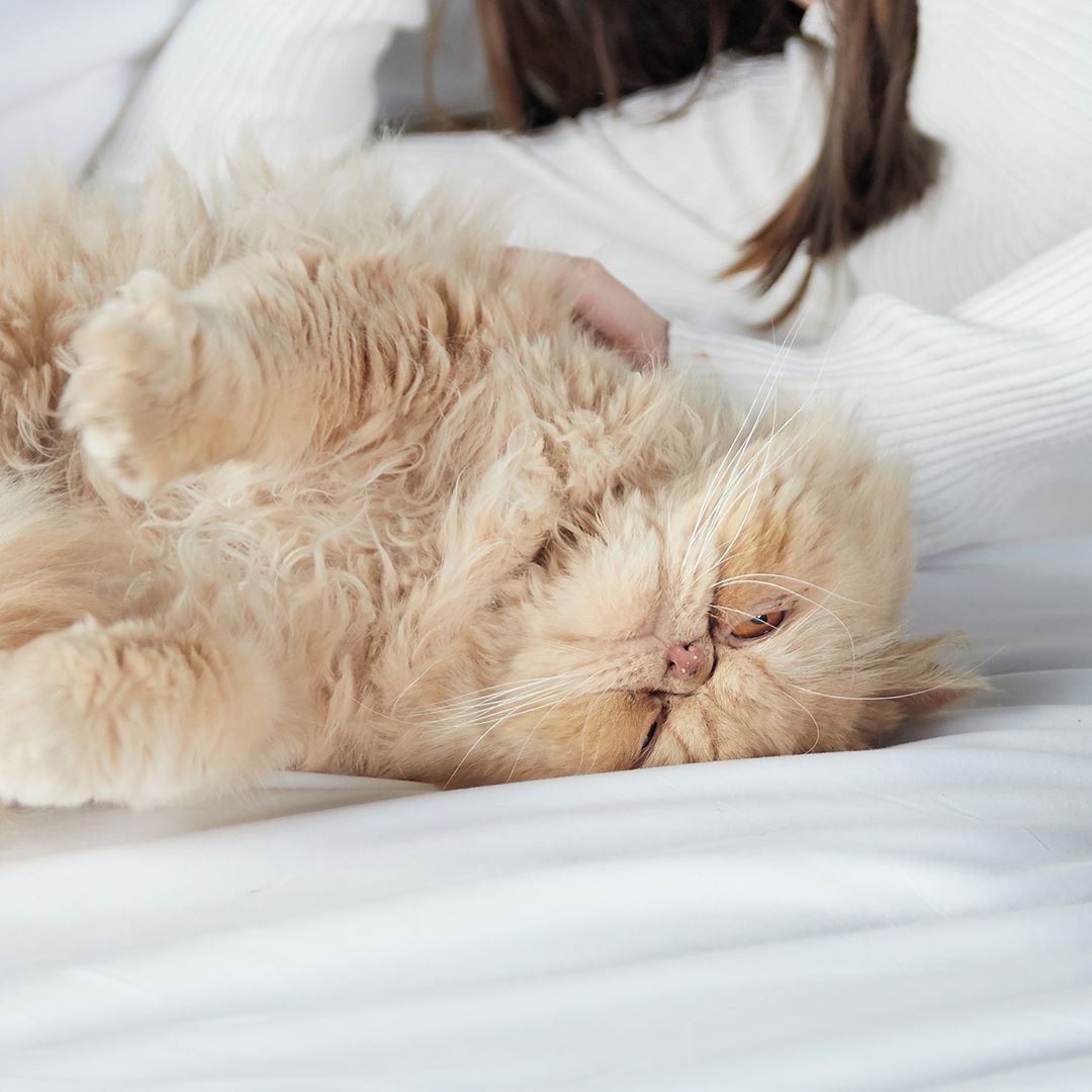 INNSiDEIbiza's tweet image. Monday mood! 
#staycurious #innsidebymelia