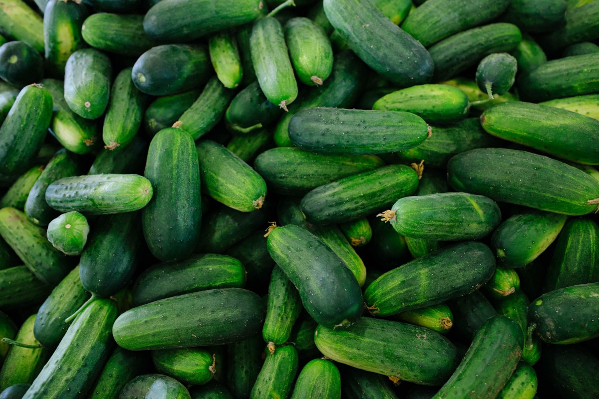 The bounty of vegetables from the Summer months was amazing.  Picking and processing the harvest critical to everyone's enjoyment.
#Adamdetourphotography
#Gardening
#Farming
#People
#Places
#Things