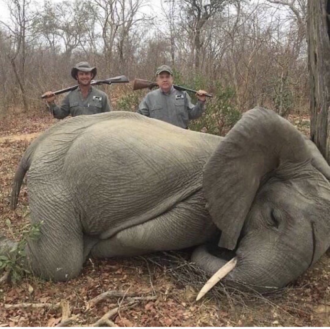 İki şerefsiz insan !