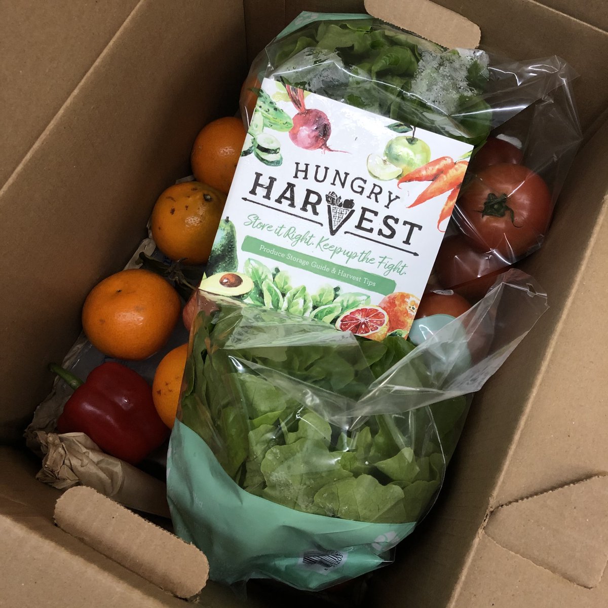 VCURamPantry's tweet photo. Hey Rams! Check this out: Hungry Harvest (@HungryHarvest) is partnering with Ram Pantry to provide fresh fruits and veggies! Students can get up to 10 produce items a week! https://t.co/lBTUxM0Rej