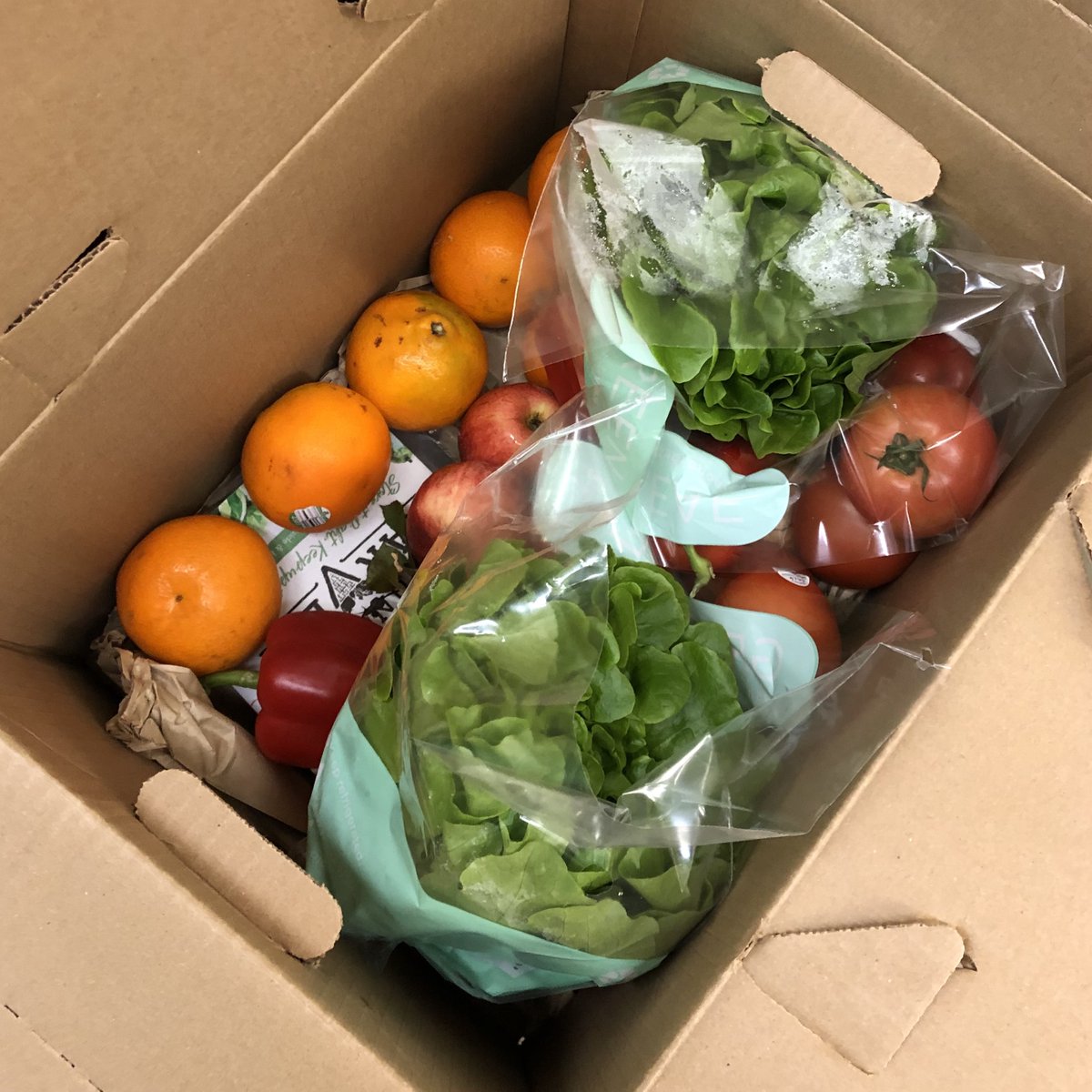Hey Rams! Check this out: Hungry Harvest (<a href="/HungryHarvest/">Hungry Harvest</a>) is partnering with Ram Pantry to provide fresh fruits and veggies! Students can get up to 10 produce items a week!