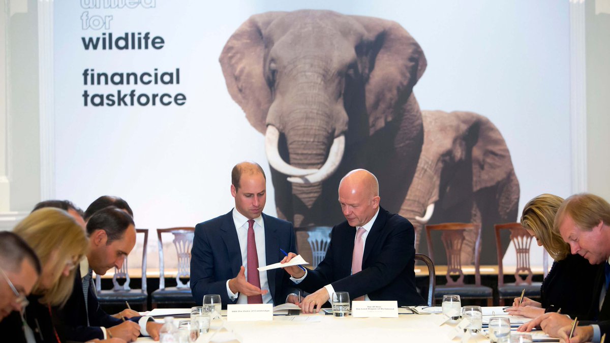 In response to the need to engage financial institutions in this effort and to identify specific actions that can be taken by the sector, a bank-led Illegal Wildlife Trade Financial Taskforce was established.