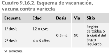 QuickMedicine1's tweet photo. Vacuna contra Varicela
#ENARM2020 #ENARM #CursoENARM2020 #GPC 
-Manual de vacunación de Secretaría de Salud México. 2017. https://t.co/jvpbznMkfw