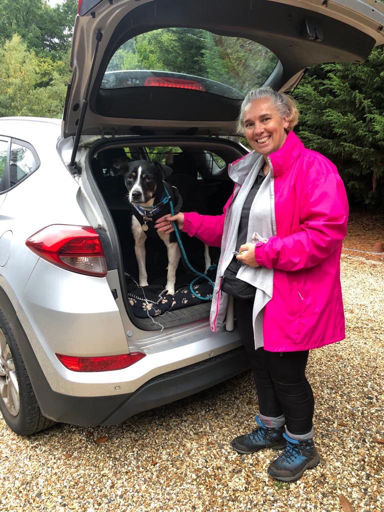 Liam bagged himself a wonderful foster home today but he’s still waiting for a forever family #dogsoftwitter #rescuedog