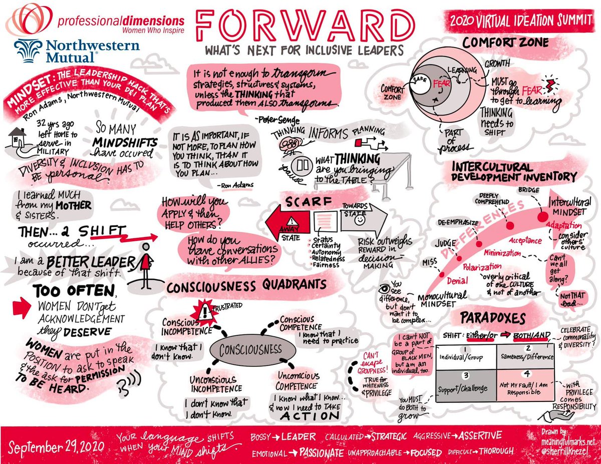 We hope that you are putting in to practice the information shared during the 2020 Ideation Summit.

Here is a graphic from our second key note session sponsored by Northwestern Mutual entitled “Mindset: The Leadership hack that’s more effective than your D&amp;I plan” #pdwomen