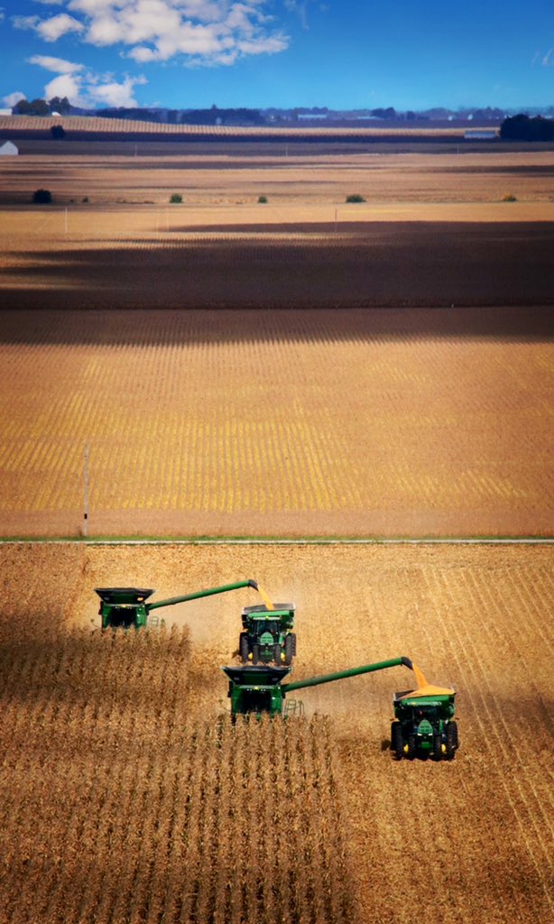 JCFLAVIN's tweet photo. Harvest rolling on in Ivesdale https://t.co/4MuXZPpGrv