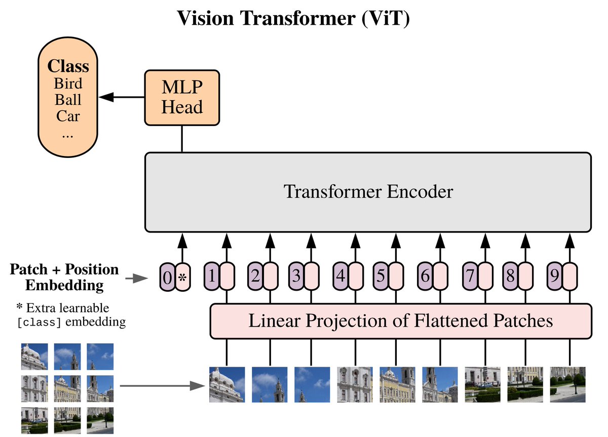 Model What's interesting is that the network itself is a standard Transformer, exactly as used for NLP!  It takes as input the sequence of image patches and outputs a classification, which is the Transformer's output for the special [class] token, as done in other models