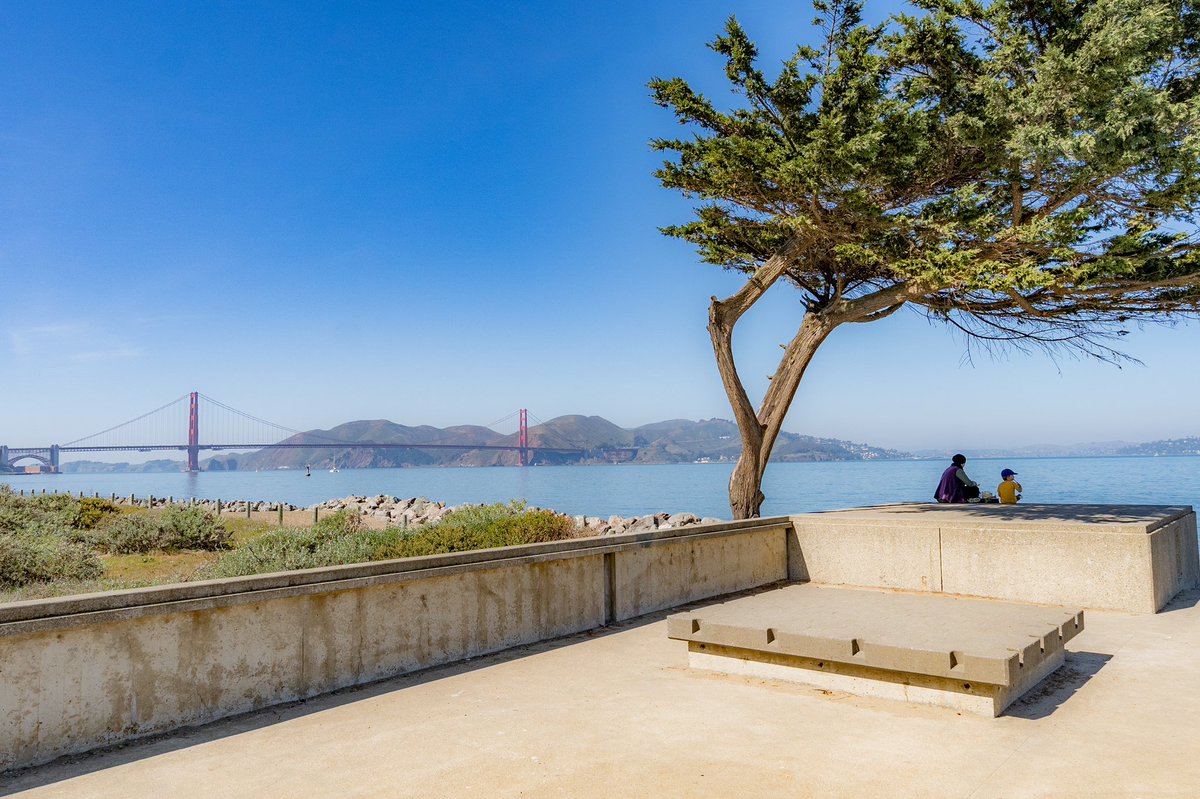 TrinityPlaceSF's tweet image. There’s something special about sunny days in The Marina District ☀️⛵️