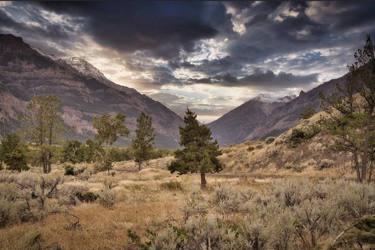 hardheadhunter1's tweet photo. Just back from Wyoming and these 4 pictures are my favorite. Which one is your favorite? https://t.co/cjcDRzusLl