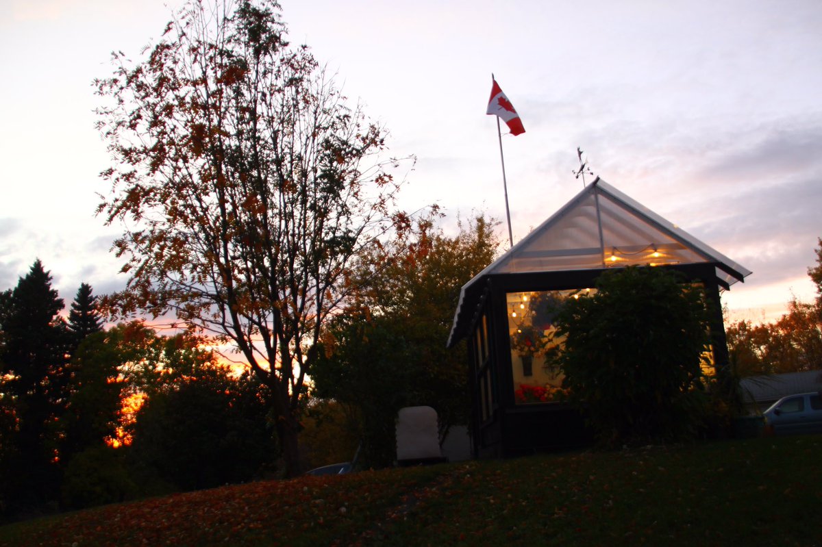 SweetReunion22's tweet image. #FallFeelings #FallColours #YEG 🍂🍁🍃🌾💛🧡💚