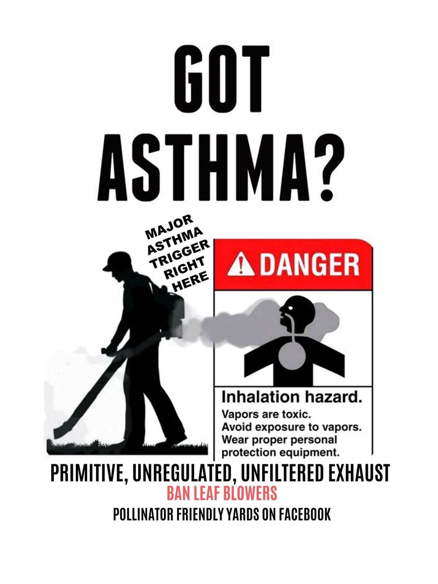 MontgrainL's tweet image. Air from a #Leafblower travels at 200 km per hour and pulverizes what it hits into very fine dust, finer than is found in nature. 2/2 bit.ly/3nkhjM3 #LeafBlowerBan