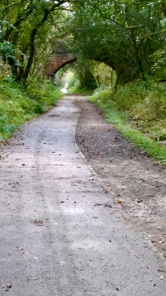 linsmf's tweet photo. Walkies this morning to see parents #running #fun #SocialDistance #Twittawinterchallenge #parents #oldrailwaylines #teamtornado https://t.co/GTYVpwYeSa