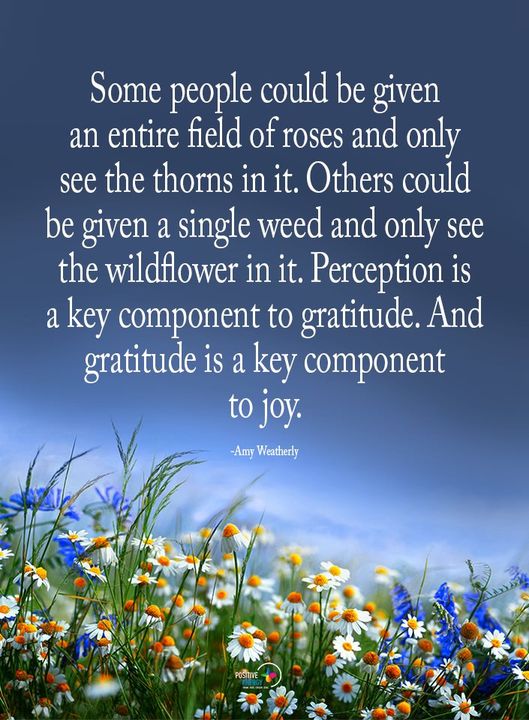 cycleharmony's tweet image. 