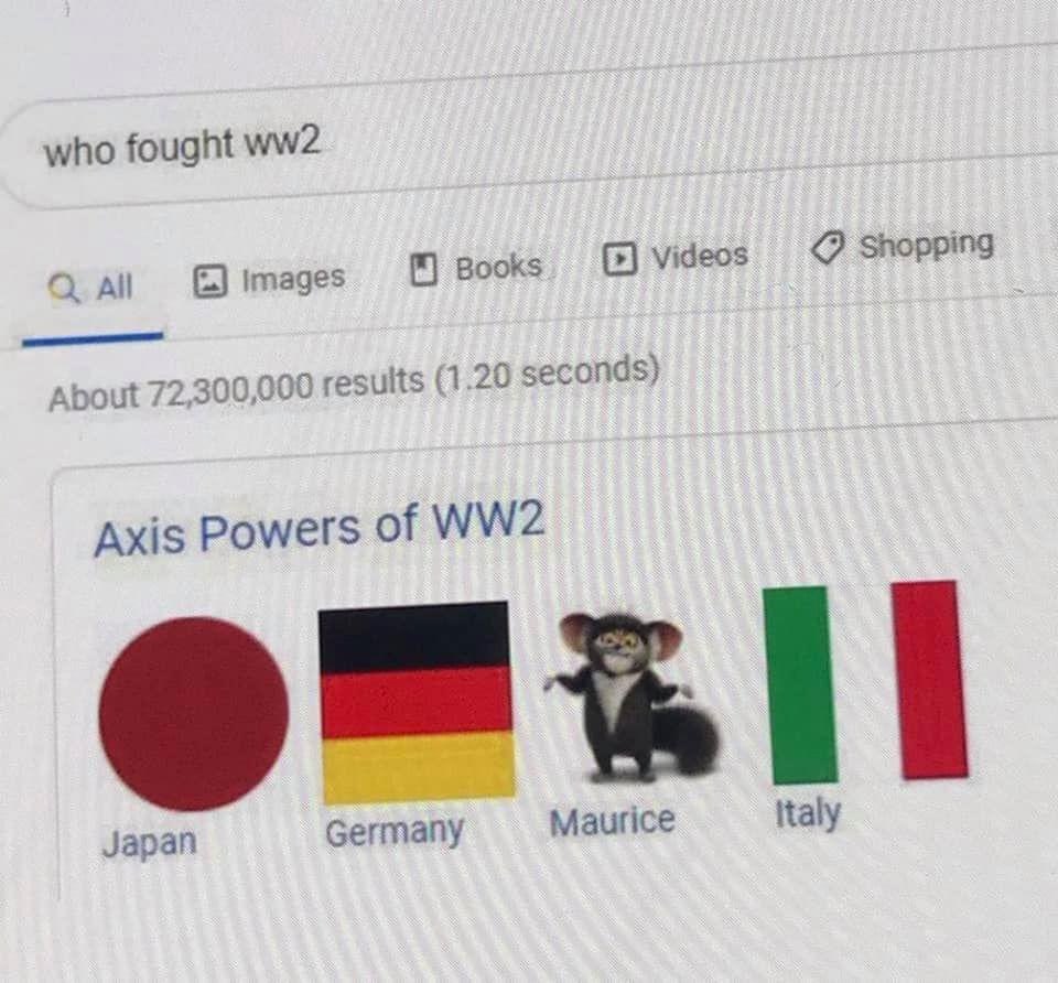 CAPYBARA_MAN's tweet image. Maurice