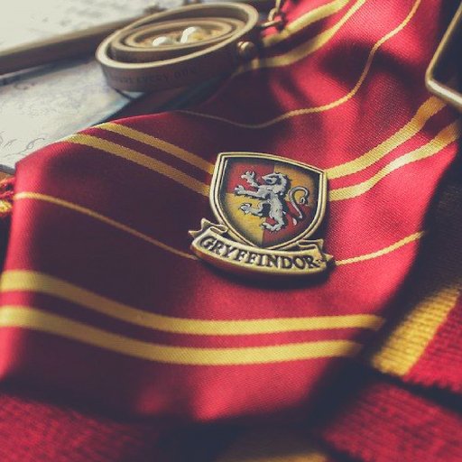 it was hard to put changsub in a house (i act as if I was the sorting hat hahaha) but maybe he would be a great Gryffindor, he's really really brave i think, like the moment when he tried to save the girl (the prank), that screamed Gryffindor vibes