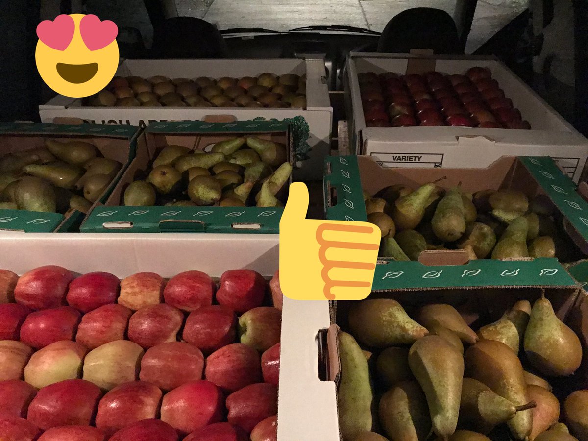 grocer_on_green's tweet photo. Thatβs this weeks fabulous #local apples and pears from @fourelmsfruitfarm collected for my lovely customers ππππππ
#Russets #Coxs #Gala #Jupiter #Conference #supportlocal #inexeter #greengrocer https://t.co/aakAg1uJPS